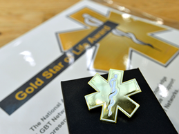Gold Star of Life Awards