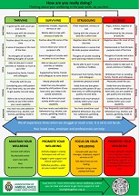 AACE Mental Health Continuum Poster